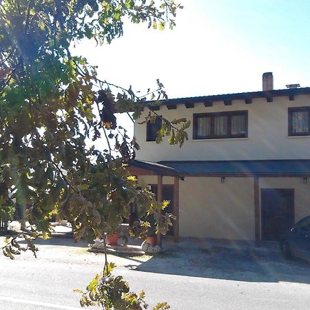 Agrihotel Papaya San Pietro Apostolo Dış mekan fotoğraf