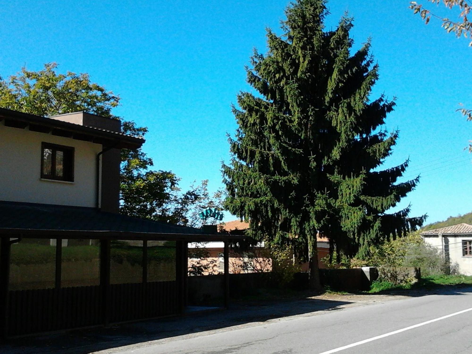 Agrihotel Papaya San Pietro Apostolo Dış mekan fotoğraf