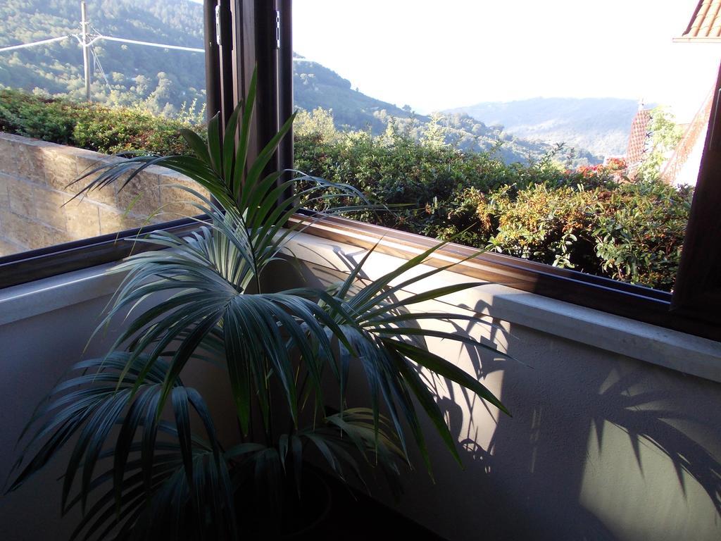 Agrihotel Papaya San Pietro Apostolo Dış mekan fotoğraf